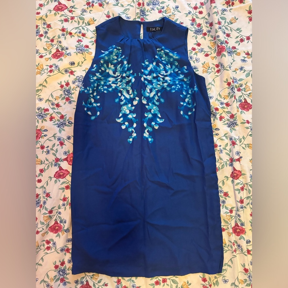 BNWT Blue Sleeveless Dress with Floral Design